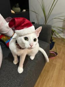 room for rent - Photo 5