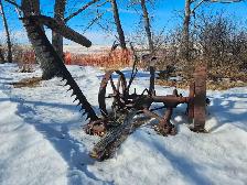 Antique lawn/yard ornaments - Photo 2