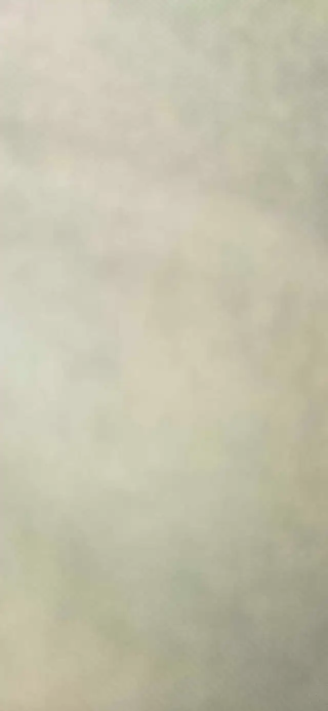 metal detector wanted