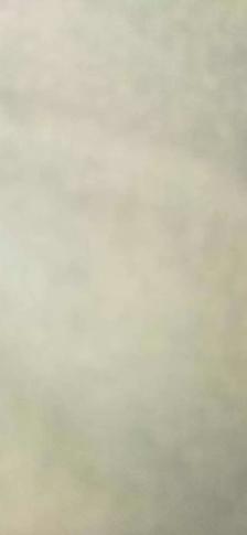 metal detector wanted