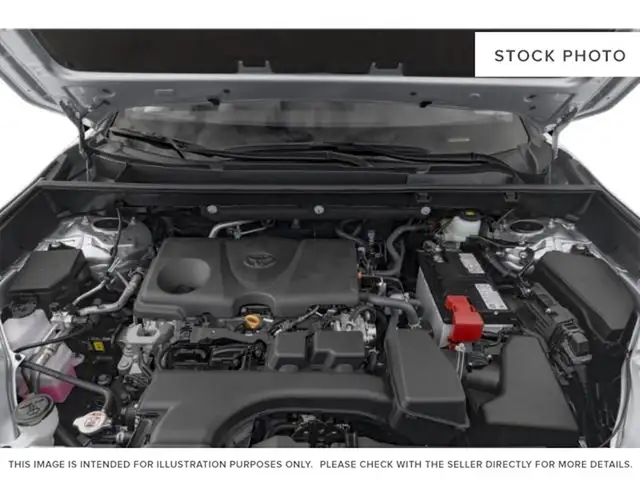 2024 Toyota RAV4 - Photo 6