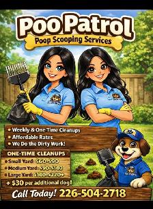dog  poop removal  team