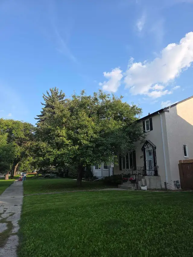 tree removals and prunning - Photo 6