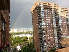 Experienced Quadriplegic Caregiver