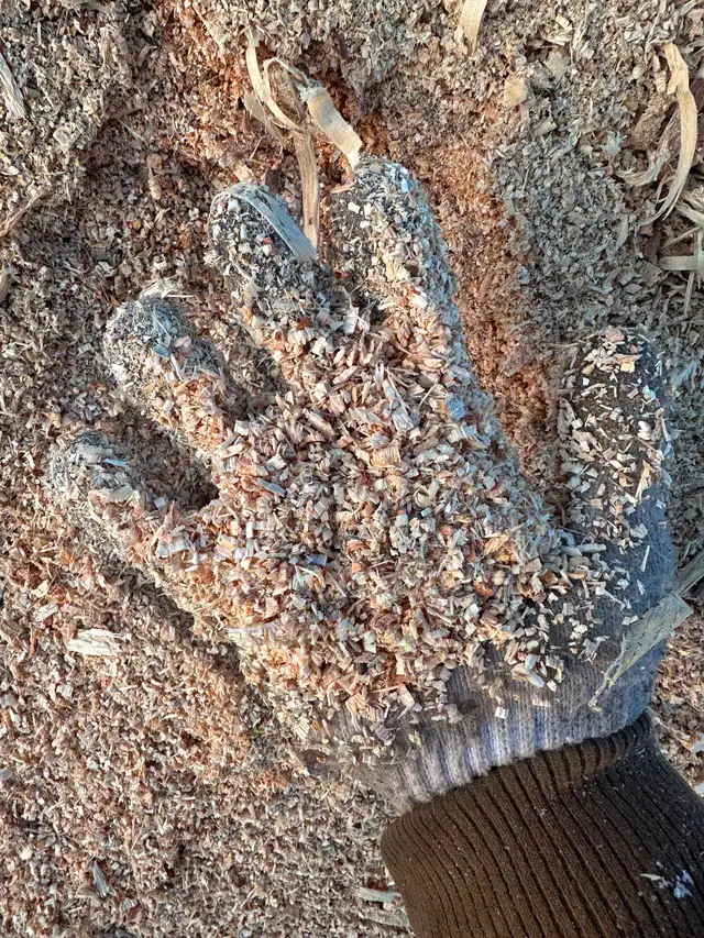 Coarse sawdust
