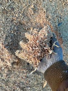 Coarse sawdust - Photo 2