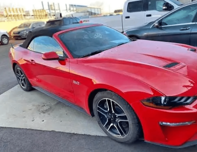 2015-2020 MUSTANG GT