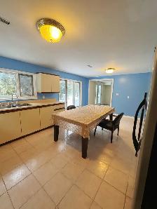 Walk Out Basement Larger Living room, One one room for Rent - Photo 6