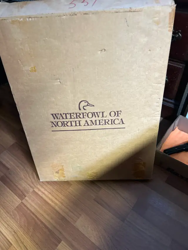 DUCKS UNLIMITED Waterfowl of North AmericaA magnificent oblong - Photo 4