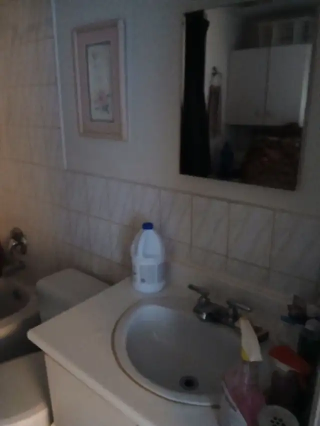 41/2, Ile-Perrot, 2-bedroom apt, sunny, Private, close to servic - Photo 7