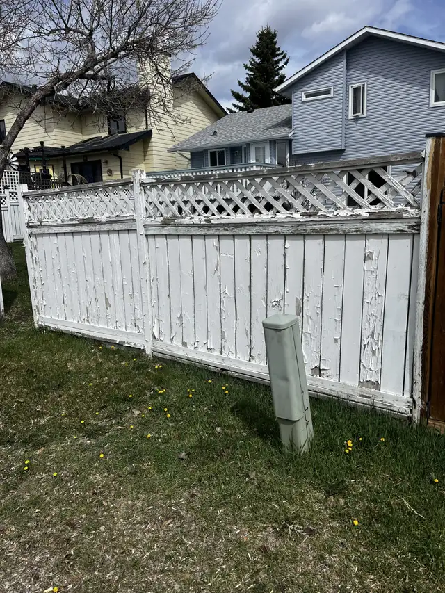 Free Painting Estimates | Student Works Painting - Photo 9