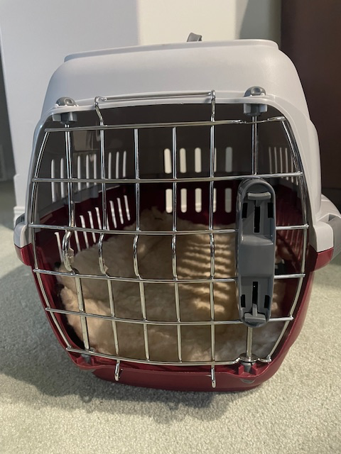 Small Hard-Sided Pet Carrier - Photo 2