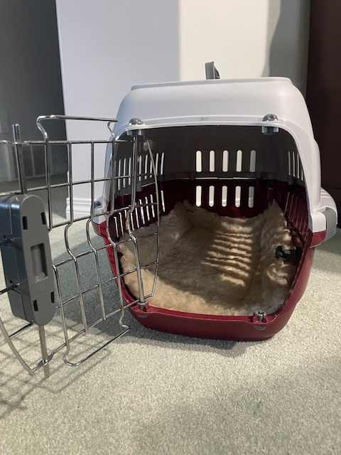 Small Hard-Sided Pet Carrier - Photo 3