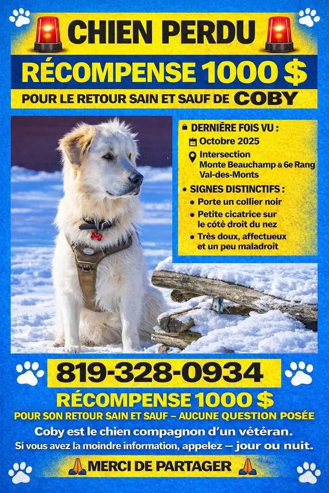 Où est Coby perdu a Valdesmonts