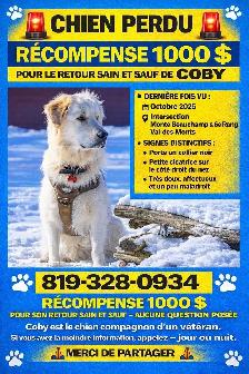 Où est Coby perdu a Valdesmonts