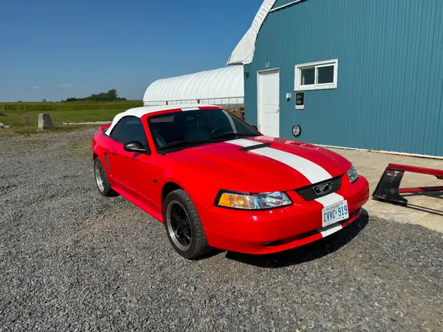2000 Mustang GT convertible (new top)
