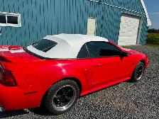 2000 Mustang GT convertible (new top) - Photo 2