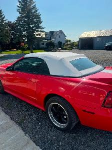 2000 Mustang GT convertible (new top) - Photo 3