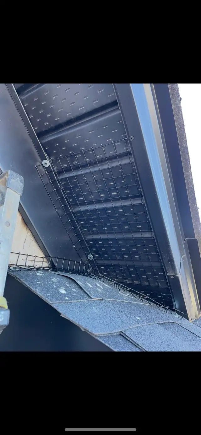 Brothers Wildlife Removal- Squirrels, Raccoons, Skunks - Photo 10