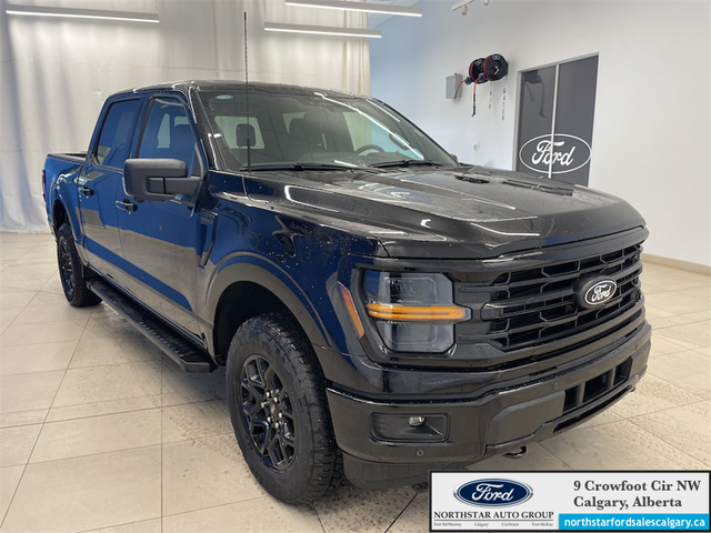 2025 Ford F-150 XLT - Photo 3