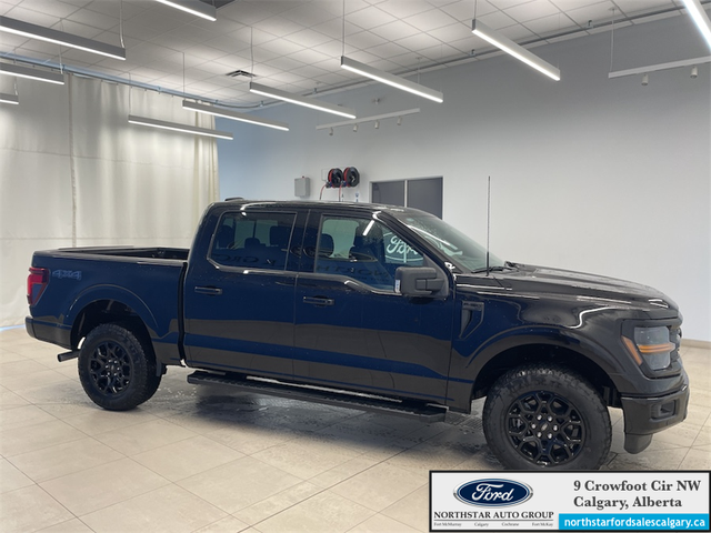 2025 Ford F-150 XLT - Photo 4