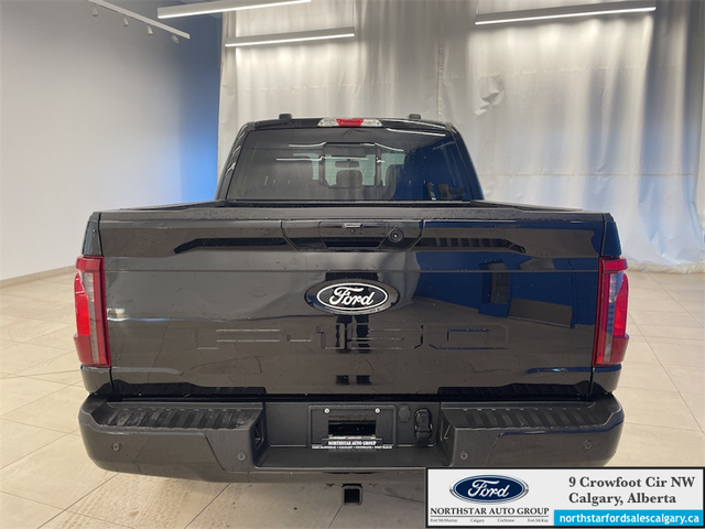 2025 Ford F-150 XLT - Photo 6
