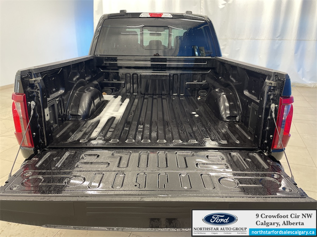 2025 Ford F-150 XLT - Photo 14