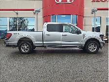 2024 Ford F-150 XLT - NAV | BACKUP CAM | 4X4 - Photo 8