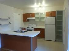 Walkervile- 2 bedroom apartment available contact 519-566-8228 - Photo 2
