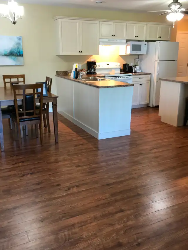 Quiet  two bedroom unit with washer & dryer for April 1st - Photo 2