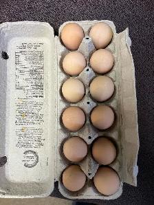 Guinea hatching eggs