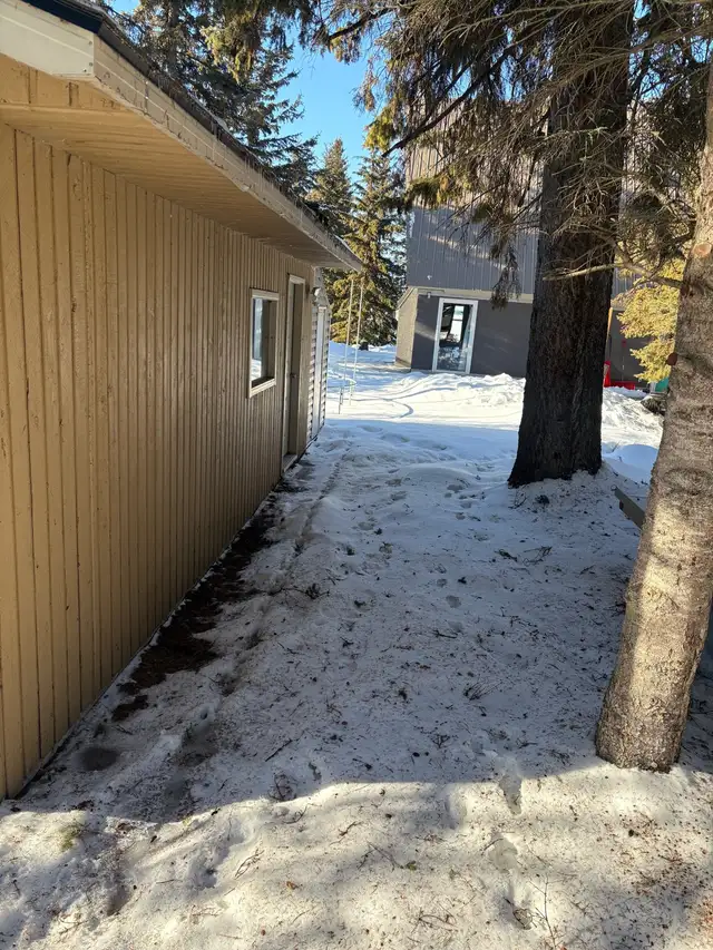 tree removal and stump grinding serving turtle lake and area - Photo 3