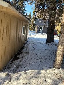 tree removal and stump grinding serving turtle lake and area - Photo 3