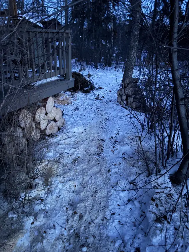 tree removal and stump grinding serving turtle lake and area - Photo 4