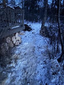 tree removal and stump grinding serving turtle lake and area - Photo 4