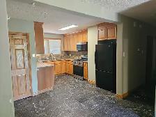 Excellent 3 bdrm suite with seperate heat, off st pkg, Haultain - Photo 3