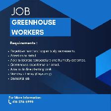 Hiring Full Time Greenhouse Labour