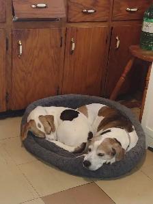 Looking for a ride to Halifax