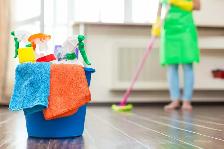 Cleaning (professional/affordable) GTA, call/text @ 647-930-1996