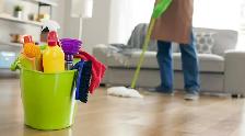 Cleaning (professional/affordable) GTA, call/text @ 647-930-1996 - Photo 10