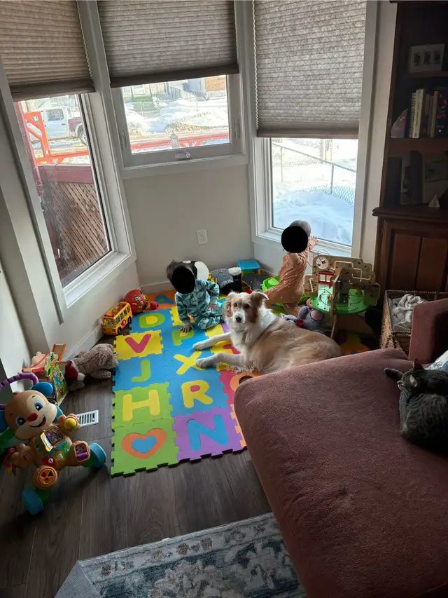 Pediatric Caregiver/Nanny