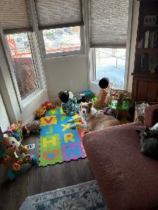 Pediatric Caregiver/Nanny