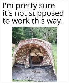 PAL - Non Restricted CFSC – March 7