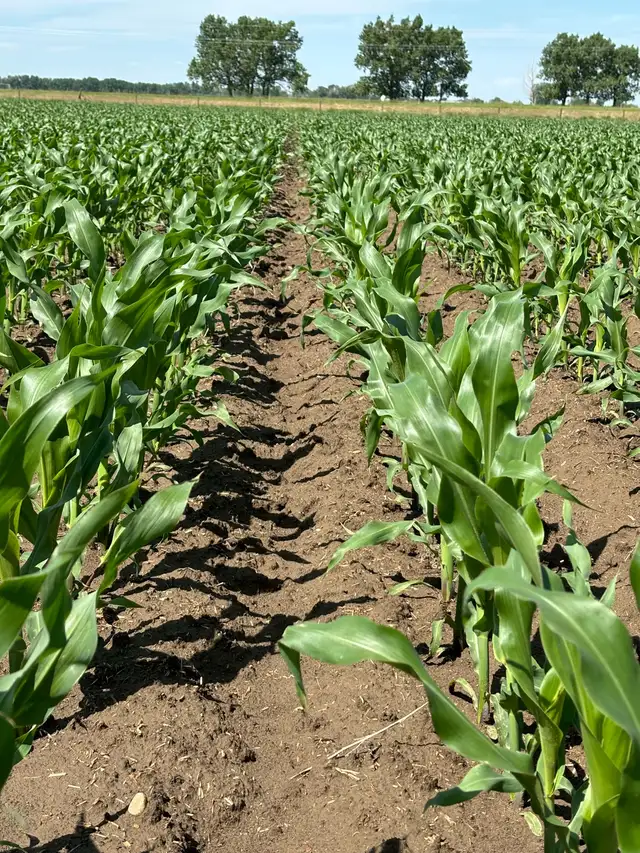 wanted farm hand - Photo 3