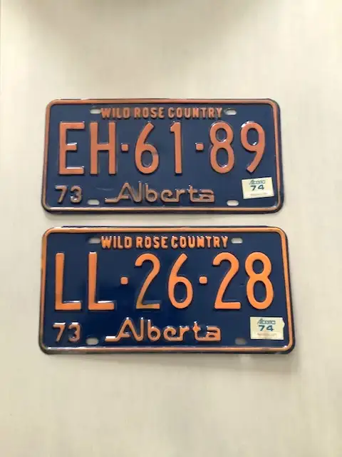 Vintage 1973 License Plates