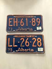 Vintage 1973 License Plates