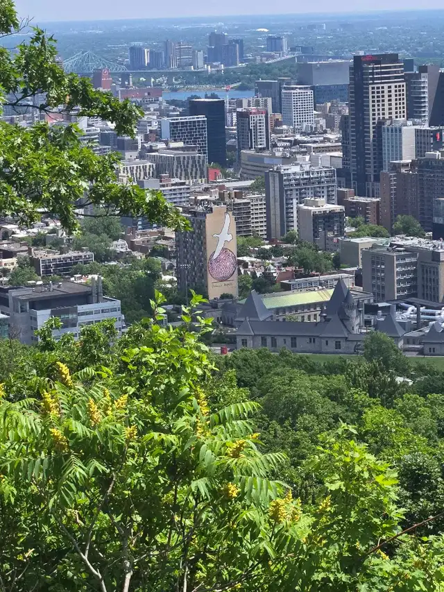 $25/hr Personal Support Work - No Course Needed