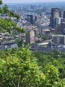 $25/hr Personal Support Work - No Course Needed