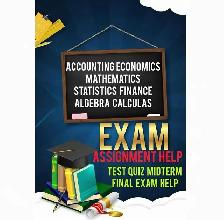 Struggling with Accounting or Finance? Let me handle it