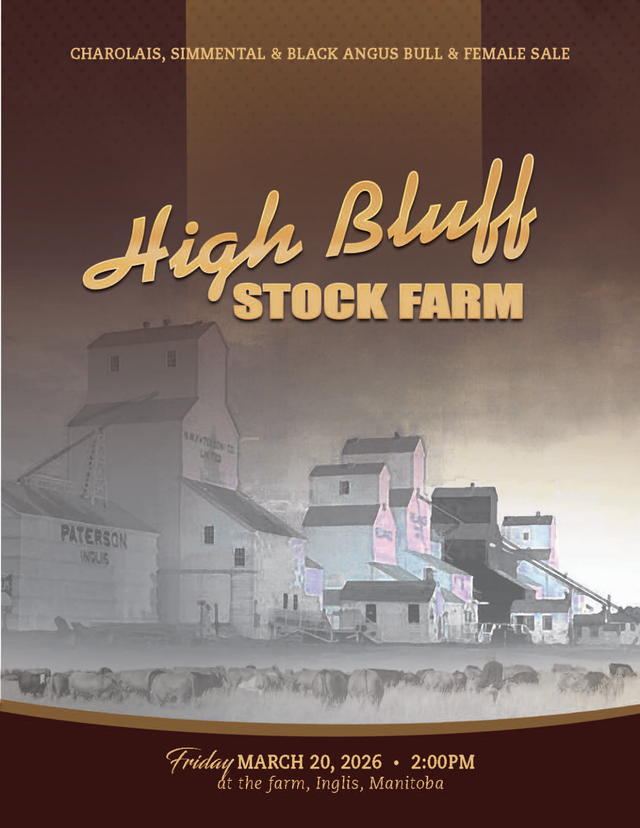 High Bluff Stock Farm Full & Female Sale